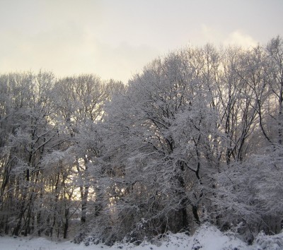 20101217_0001_2.JPG