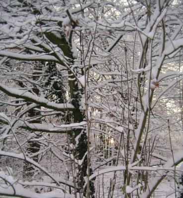 20101217_0001_4.JPG