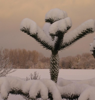 20101217_0001_6.JPG