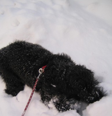 20101217_0001_7.JPG