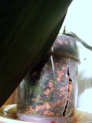 Bild 005.jpg
