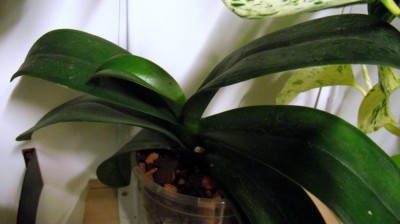 Bild 003.jpg