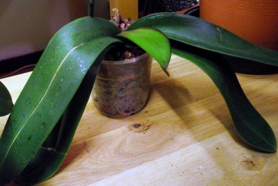 Bild 002.jpg