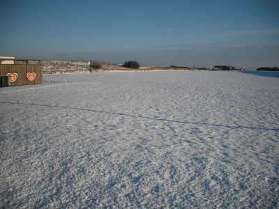 cux1.jpg