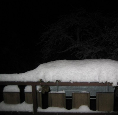 20101218_0001.JPG