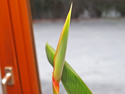 PC183746_1.jpg