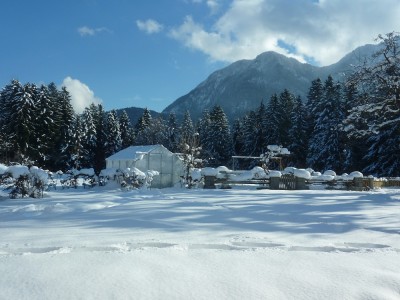 Gewächshaus.jpg
