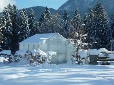Gewächshaus.jpg