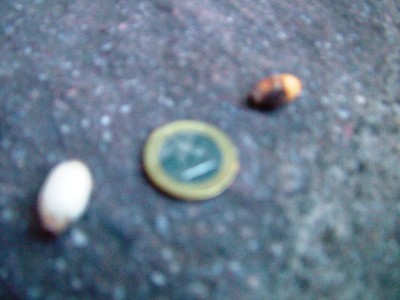 DSCF2303.JPG