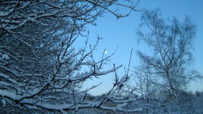 IMG_1737.JPG