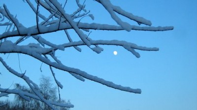 IMG_1734.JPG