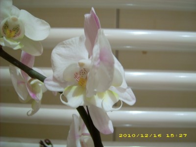 DSCI0006.JPG