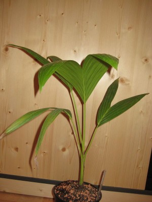 k-IMG_2299.JPG