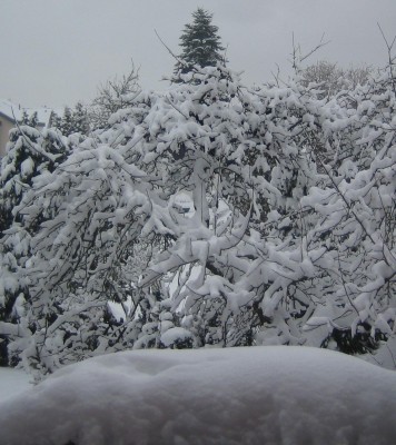 20101219_0001_1.JPG