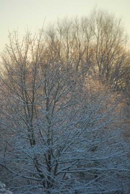 snow023yy.jpg