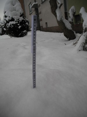 25 cm.jpg