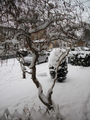 vor dem Haus.jpg