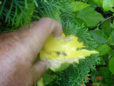 DSC00021 neu.JPG