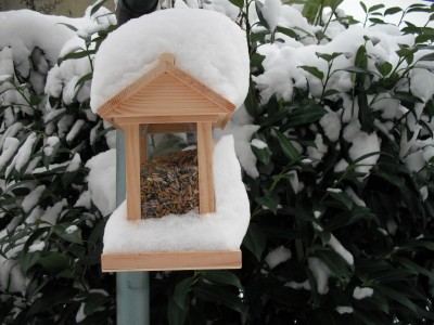 Vogelhäuschen.jpg