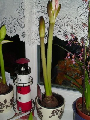 image0013.jpg