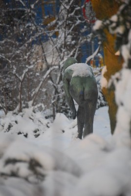 snowland 099yy.jpg