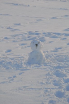 snowland 046yy.jpg