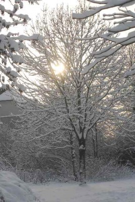 snowland 012yy.jpg