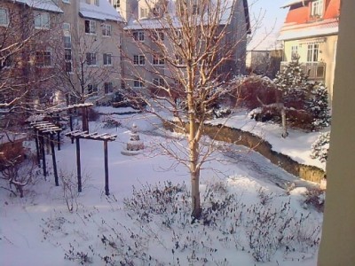 ..beim Blick aus dem Fenster...JPG