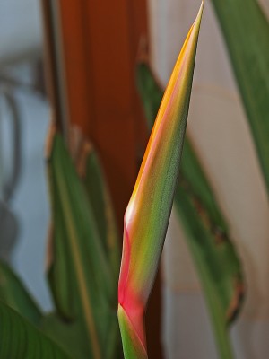 PC213748_1.jpg