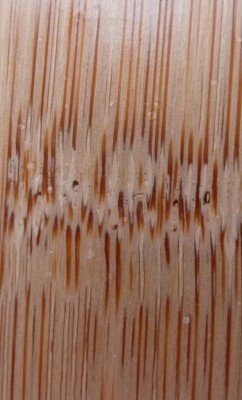 Kopie von P1000466.JPG