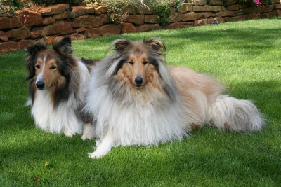 links Rico, rechts Danny.jpg