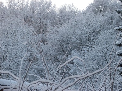DSCF4701a.jpg