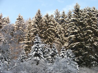 DSCF4692a.jpg