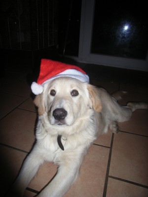 Bilder Nicole 005.jpg