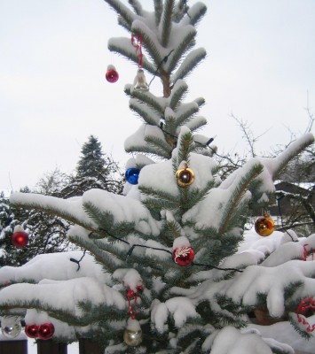 20101224_0001_2.JPG