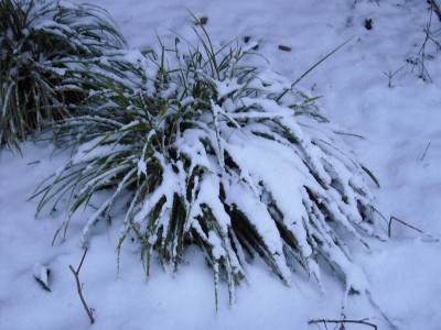 CIMG0074.JPG
