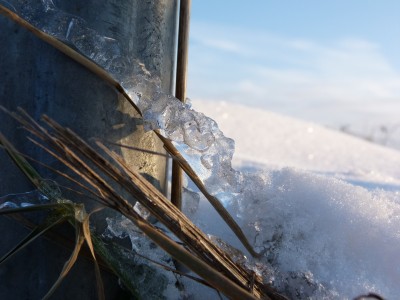 Schnee3.jpg