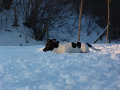 Schnee2.jpg