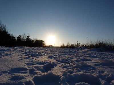 Schnee1.jpg