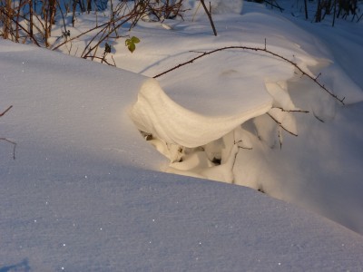 Schnee.jpg