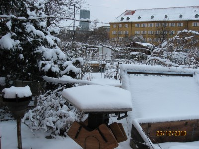 IMG_4553.JPG