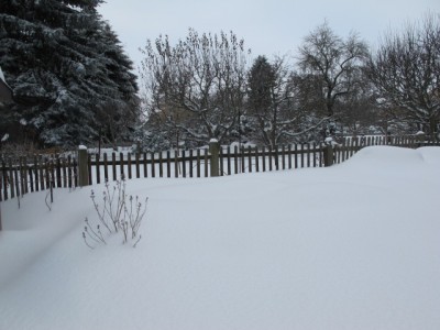 26.12.10 031.jpg