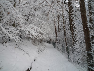 Winteridylle.JPG