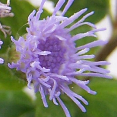 Bild 005a.jpg