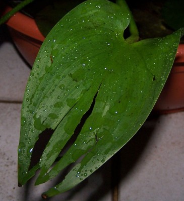 Bild 045.jpg