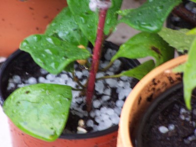Bild 038.jpg