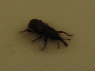 IMG_9577.JPG