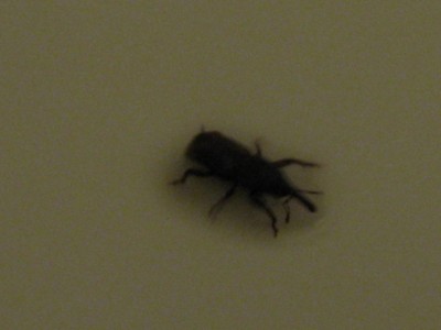 IMG_9575.JPG