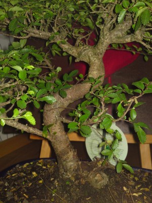 Green-24 02.jpg