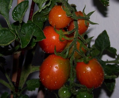 Bild 046.jpg